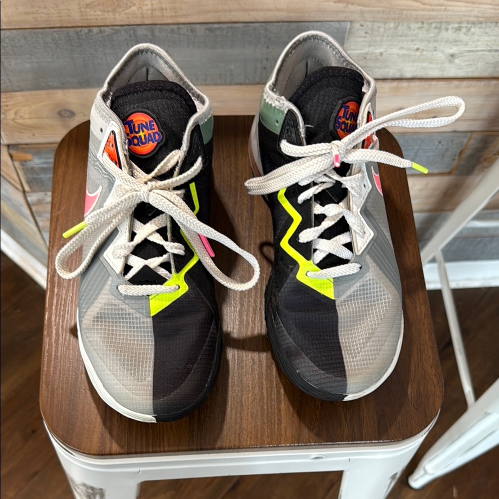 Nike LeBron Tune Squad Multicolor High-Top Basketball Shoes